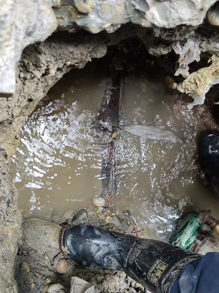 卫滨区本地服务：小区水管漏水检测维修